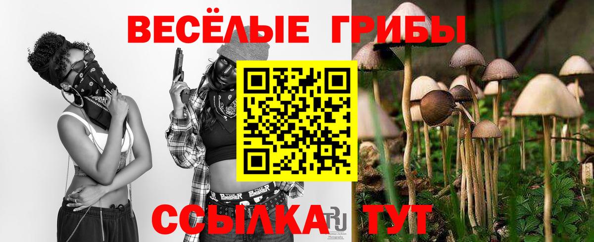 Галлюциногенные грибы Cubensis Уссурийск